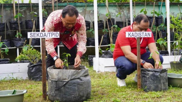 Pengendalian Inflasi, Sekda Kapuas Hulu Gelar Gerakan Tanam Cabai